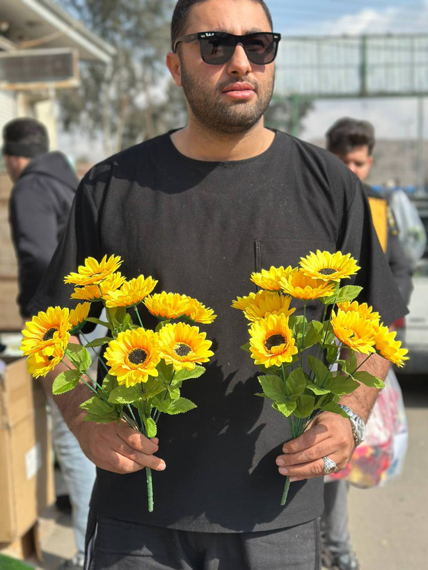 بوته آفتابگردان ۱۰گل وارداتی