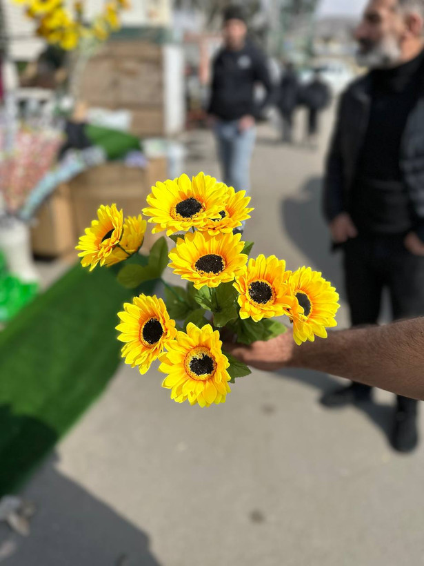 بوته آفتابگردان ۱۰گل وارداتی