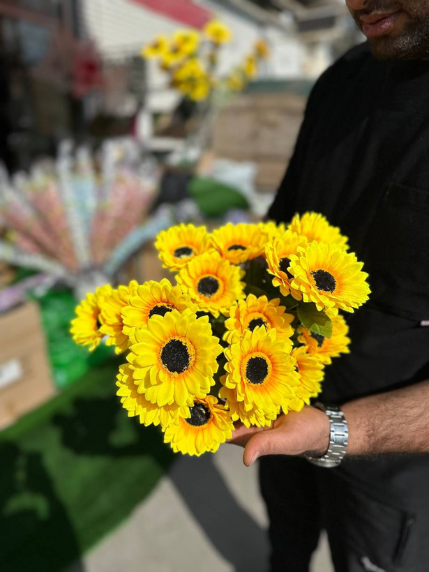 بوته آفتابگردان ۱۰گل وارداتی
