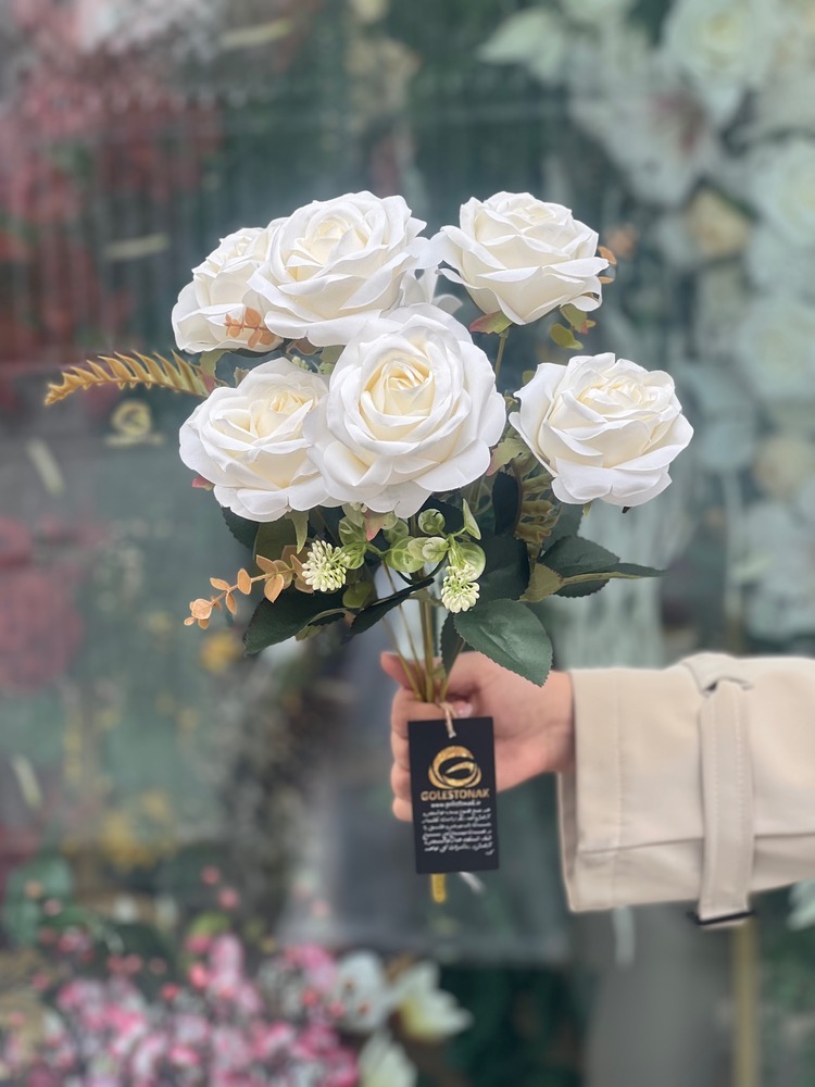 بوته رز فرانسوی ۷گل وارداتی سفید