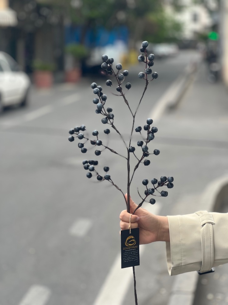 شاخه زالزالک رنگ مشکی