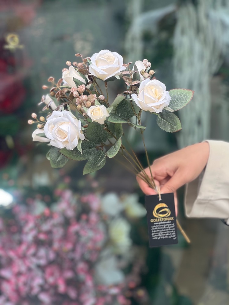 بوته گل رز با خرج کار وارداتی کیفیت درجه1