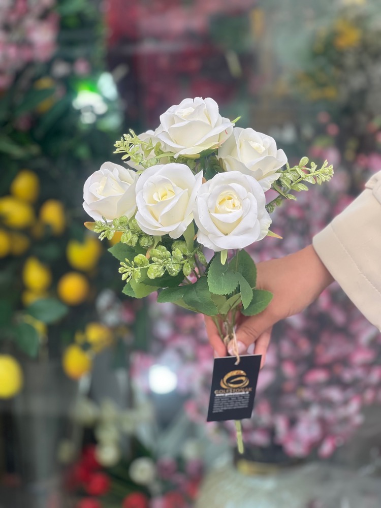 بوته گل رز با خرج کار وارداتی