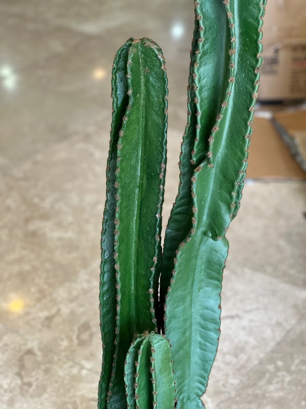 کاکتوس مصنوعی 3تنه وارداتی درجه1 مدل پیج ارتفاع150