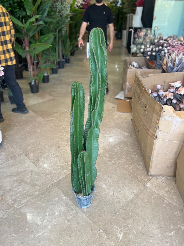کاکتوس مصنوعی 3تنه وارداتی درجه1 مدل پیج ارتفاع150