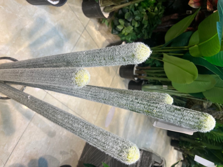 کاکتوس مصنوعی وارداتی درجه۱ مدل کلیستو ۶عددی ارتفاع۷۰