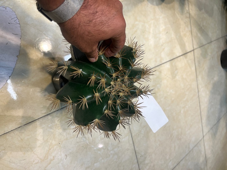 کاکتوس مصنوعی وارداتی درجه1 رومیزی مدل توپی