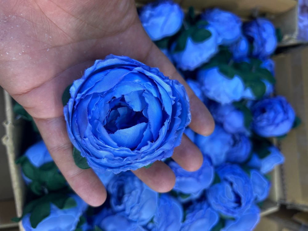 سرگل پیونی (پائونی) بزرگ رنگ آبی کاربنی 10عددی