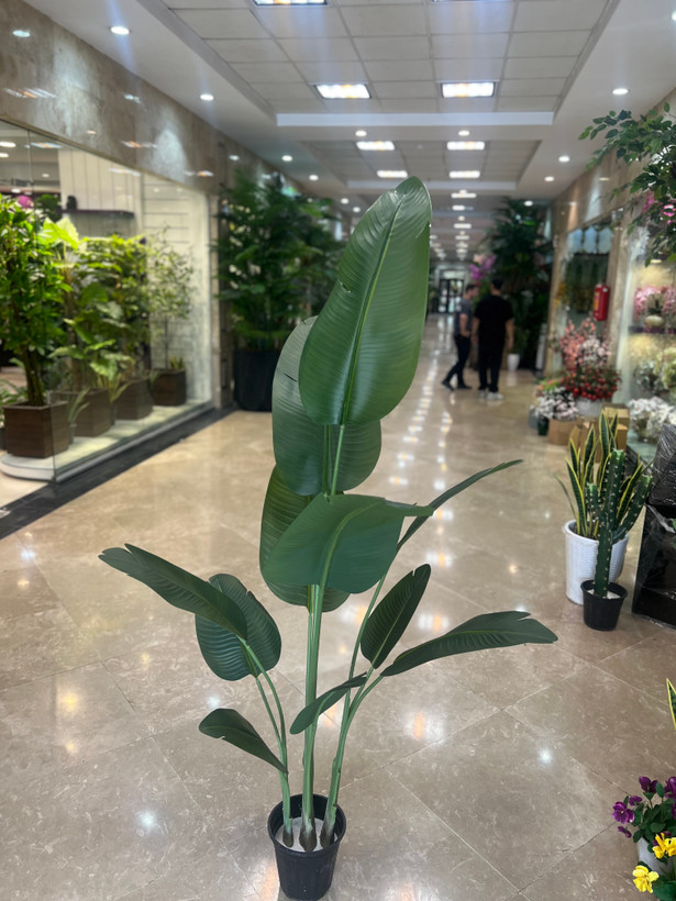 درختچه مصنوعی نخل نیکولای 10برگ ارتفاع180وارداتی