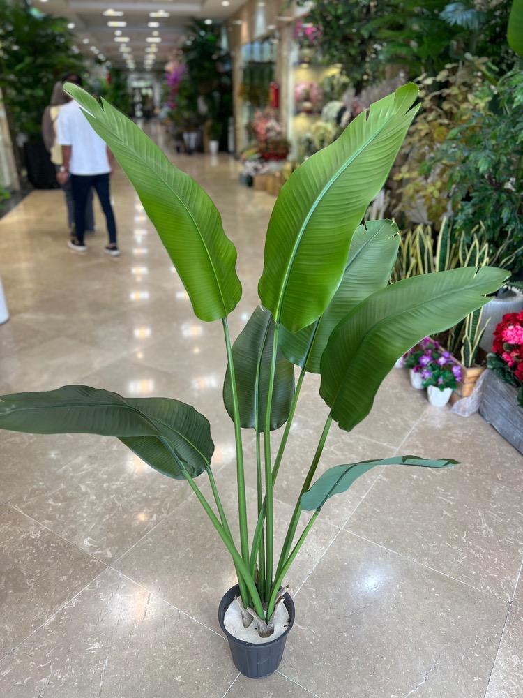 درختچه مصنوعی نخل نیکولای 8برگ ارتفاع160وارداتی