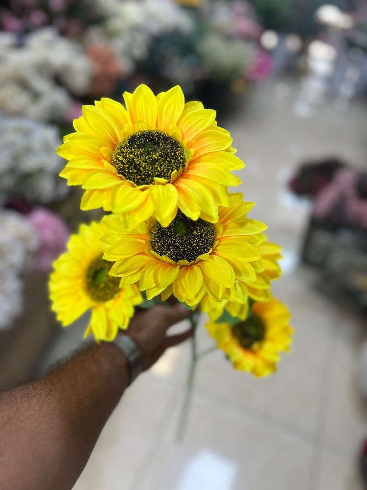 شاخه آفتابگردان(آفتابگردون) ۵ گل وارداتی درجه1