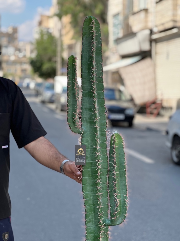 کاکتوس مصنوعی وارداتی درجه1 ارتفاع160