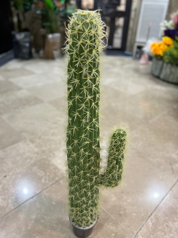 کاکتوس مصنوعی وارداتی درجه1 ارتفاع۱۳۰