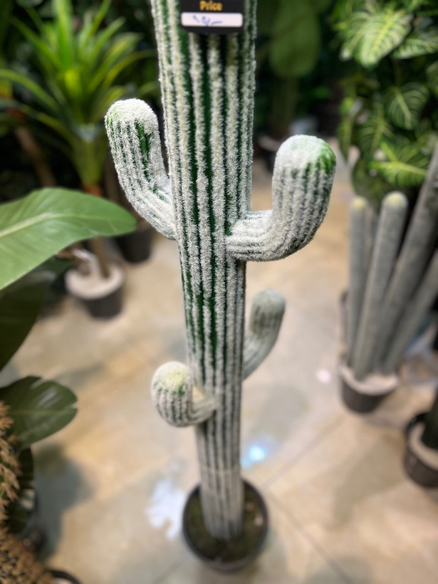 کاکتوس مصنوعی وارداتی درجه1 مدل برفی