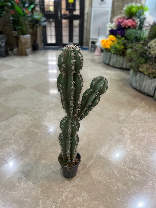 کاکتوس مصنوعی وارداتی مدل دو تنه درجه1