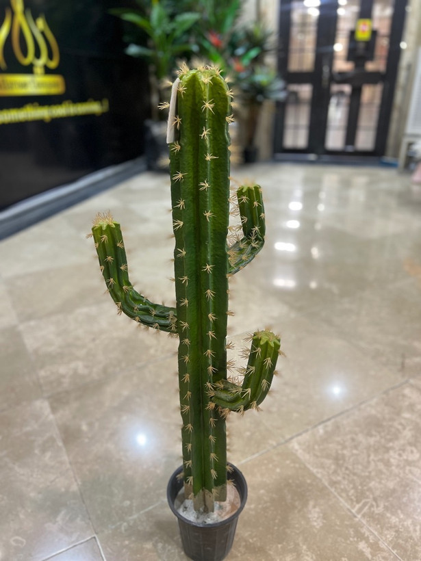 کاکتوس مصنوعی وارداتی مدل چهاروجهی درجه1