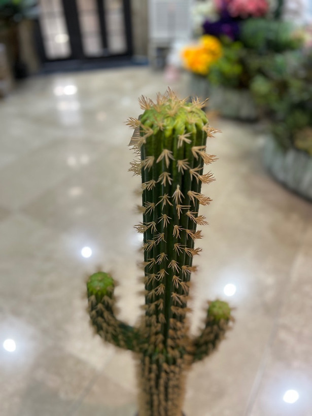 کاکتوس مصنوعی وارداتی مدل ادمک درجه1 ارتفاع۱۳۵