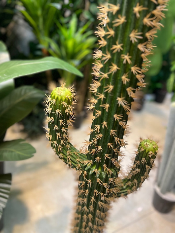 کاکتوس مصنوعی وارداتی مدل ادمک درجه1 ارتفاع۱۳۵