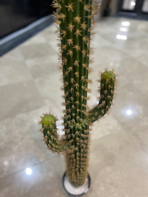کاکتوس مصنوعی وارداتی مدل ادمک درجه1 ارتفاع۱۳۵