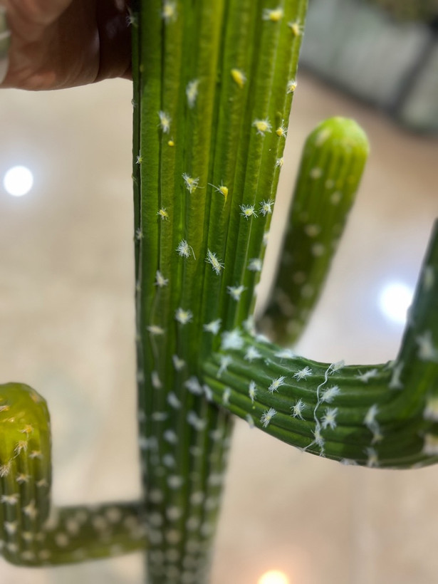 کاکتوس مصنوعی وارداتی مدل 3دسته لاتکس درجه1