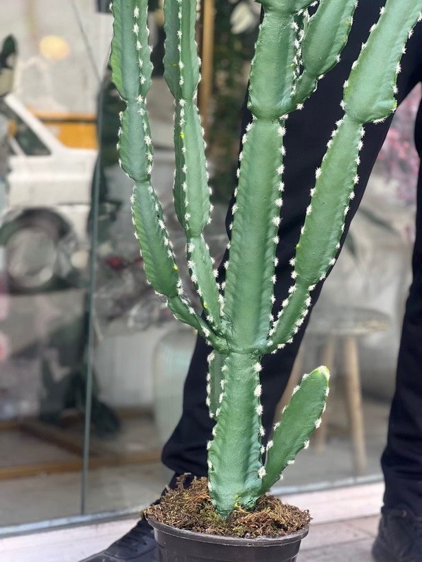 کاکتوس مصنوعی وارداتی مدل افوربیا درجه1 (165سانتی)