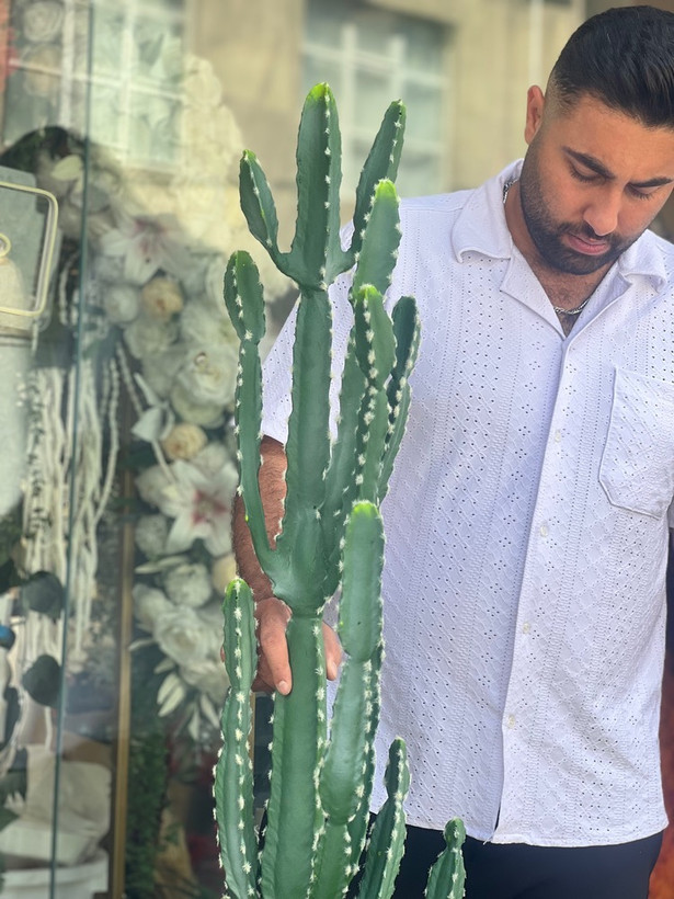 کاکتوس مصنوعی وارداتی مدل افوربیا درجه1 (165سانتی)