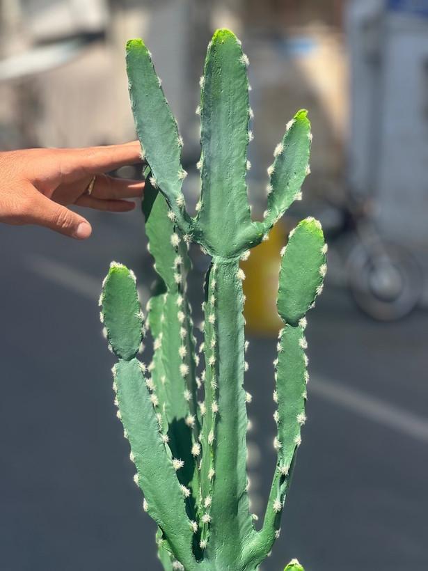 کاکتوس مصنوعی وارداتی مدل افوربیا درجه1 (165سانتی)