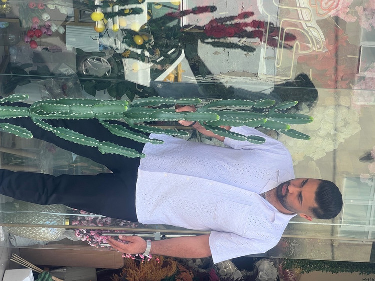 کاکتوس مصنوعی وارداتی مدل افوربیا درجه1 (165سانتی)