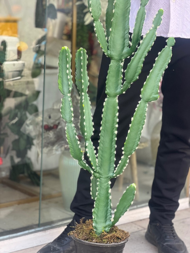 کاکتوس مصنوعی وارداتی مدل افوربیا درجه1 (165سانتی)