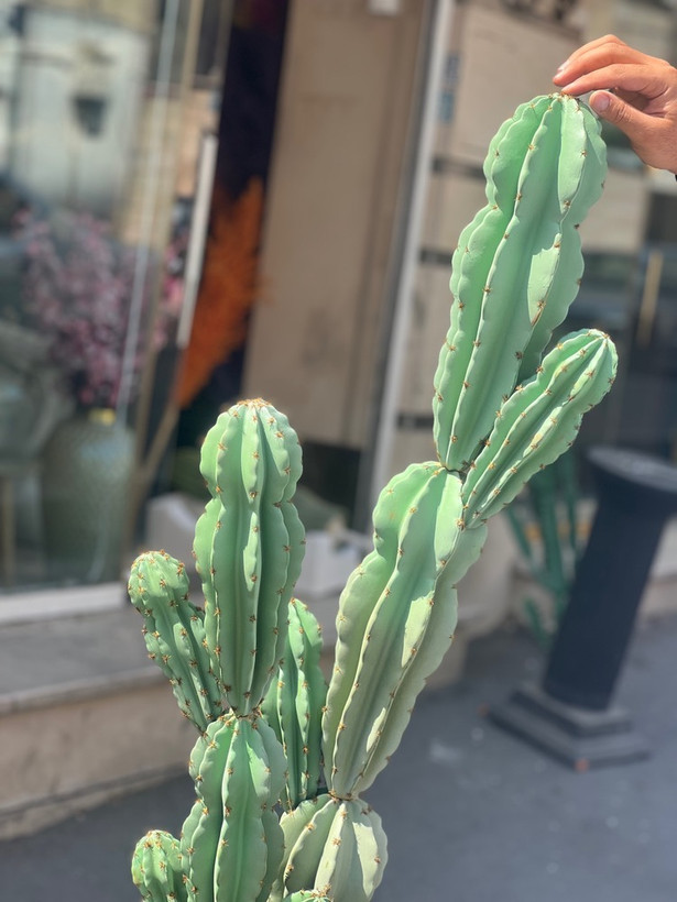 کاکتوس مصنوعی وارداتی مدل صخره ای دوبوته درجه1 (135سانتی)