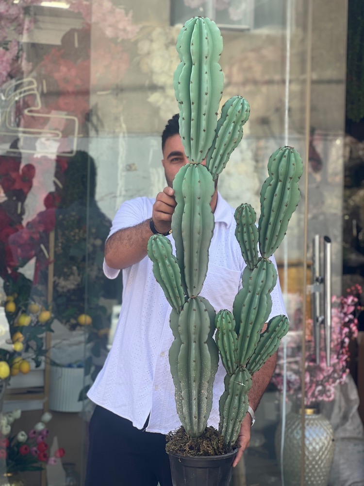 کاکتوس مصنوعی وارداتی مدل صخره ای دوبوته درجه1 (135سانتی)