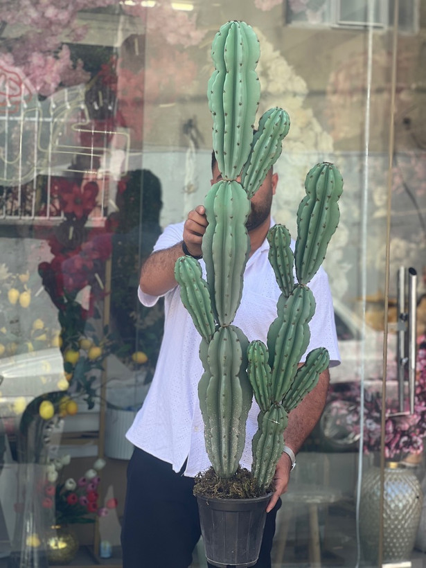کاکتوس مصنوعی وارداتی مدل صخره ای دوبوته درجه1 (135سانتی)