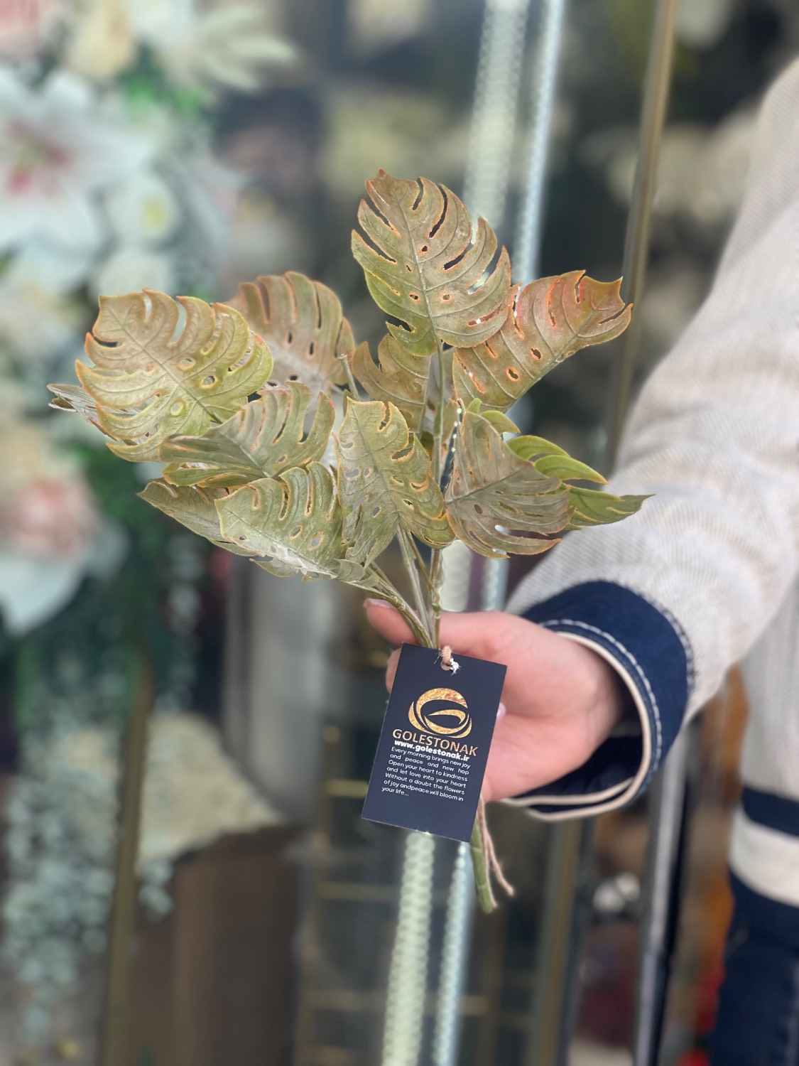 بوته انجیری خرج کار لمسی وارداتی رنگ استوایی