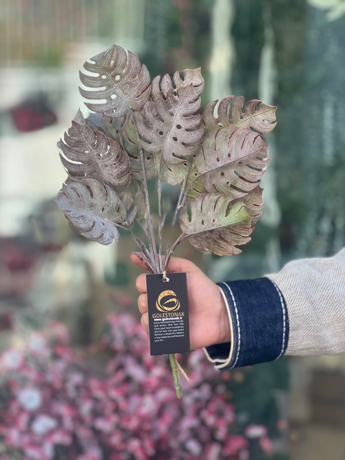 بوته انجیری خرج کار لمسی وارداتی رنگ استوایی