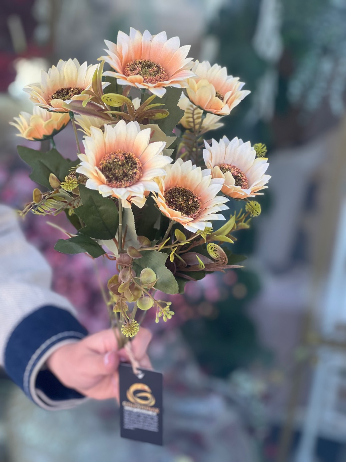بوته آفتابگردون وارداتی رنگ نباتی