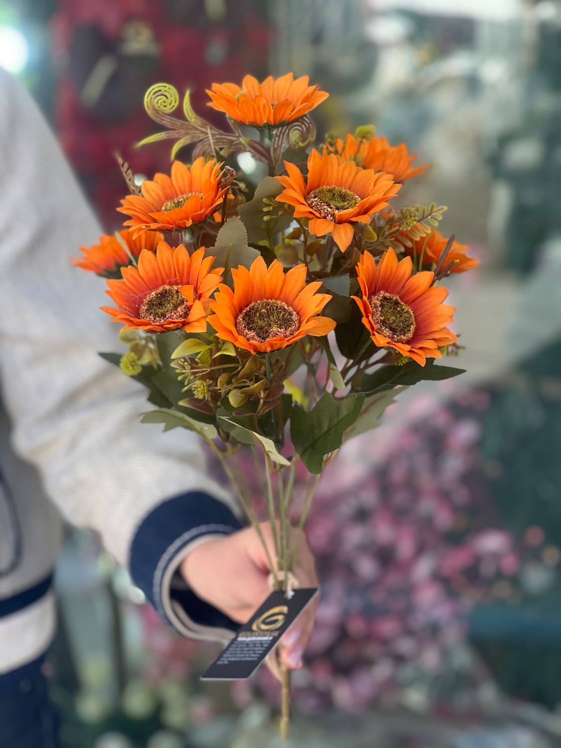 بوته آفتابگردون وارداتی نارنجی