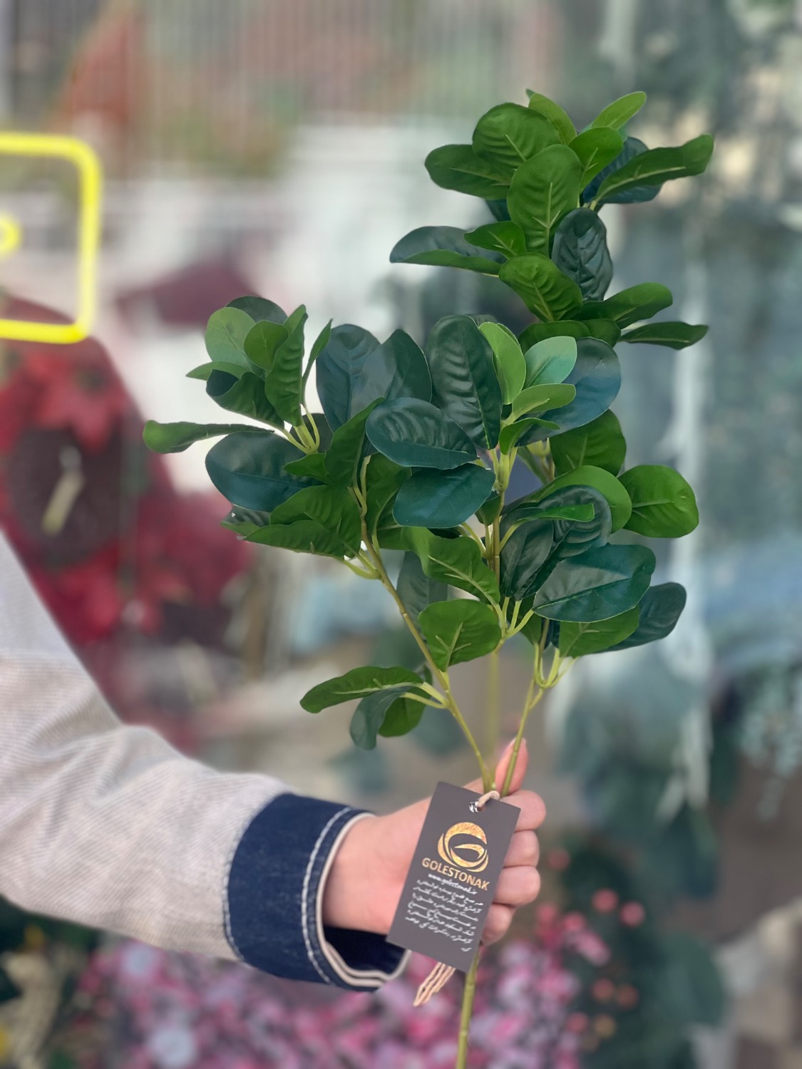بوته برگ قاشقی بلند لمسی وارداتی