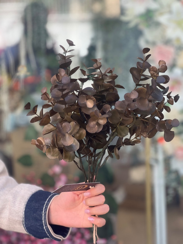 اکالیپتوس مدل خیس