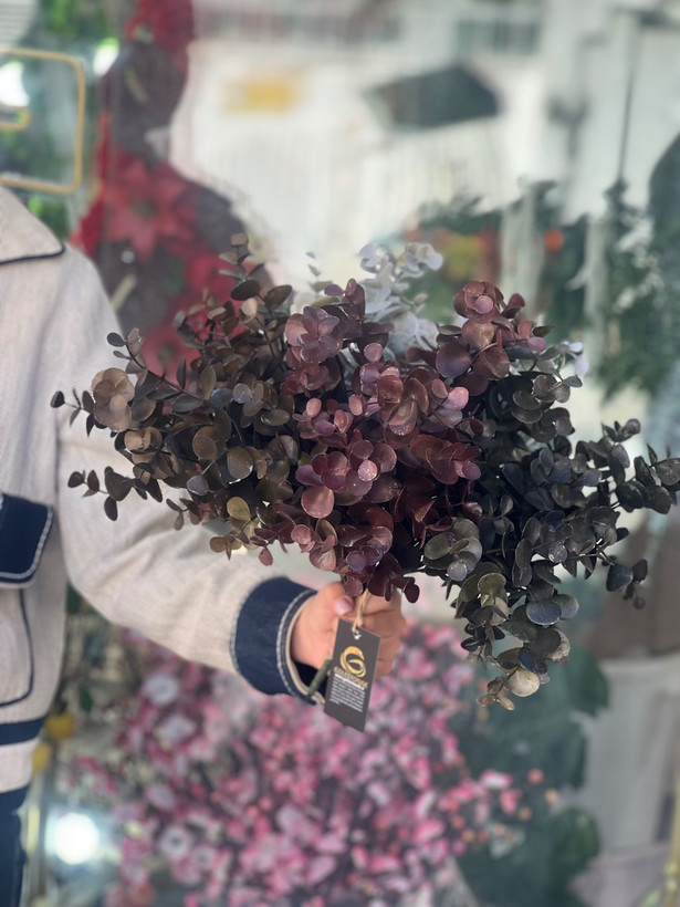 اکالیپتوس مدل خیس