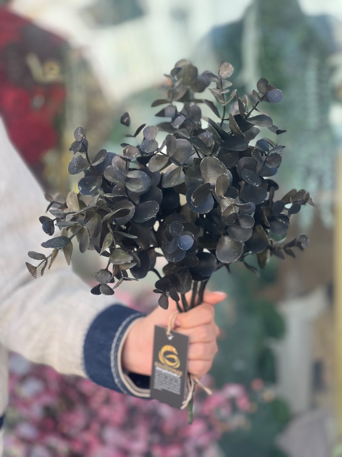 اکالیپتوس مدل خیس