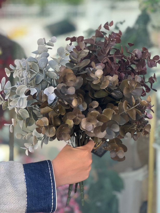 اکالیپتوس مدل خیس
