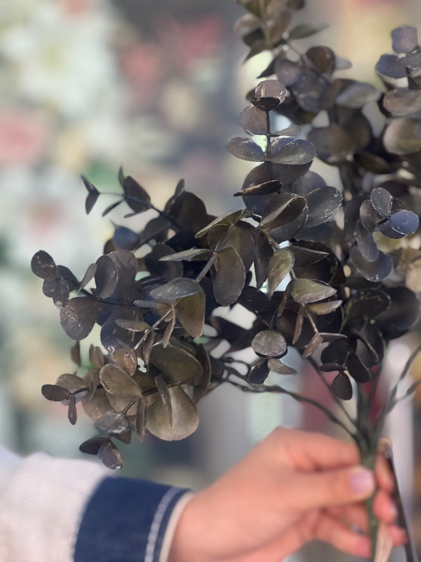 اکالیپتوس مدل خیس
