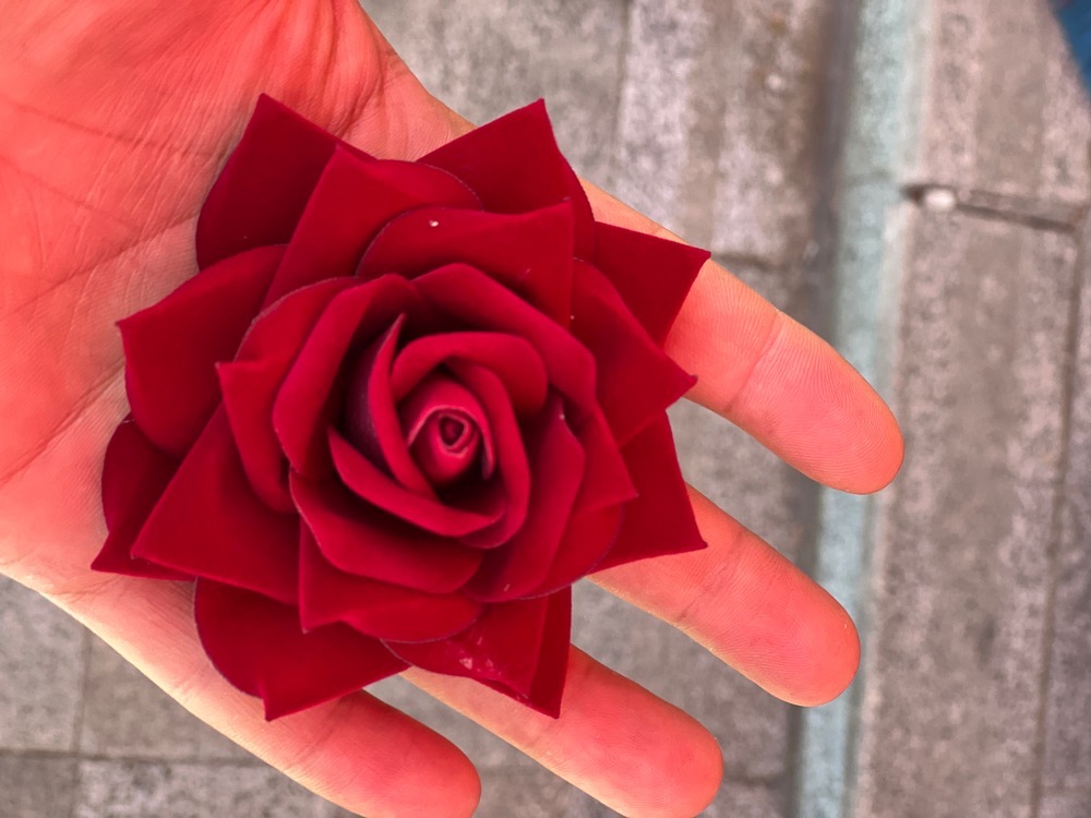 سرگل رز مخمل خارجی رنگ زرشکی ۵عددی