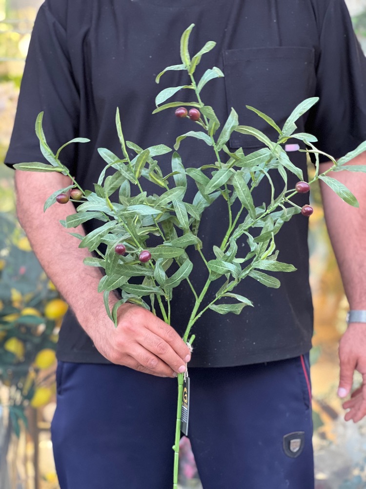 شاخه برگ و زیتون مصنوعی وارداتی