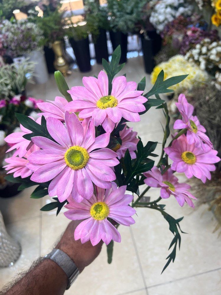 بوته ژربرا لمسی صورتی وارداتی