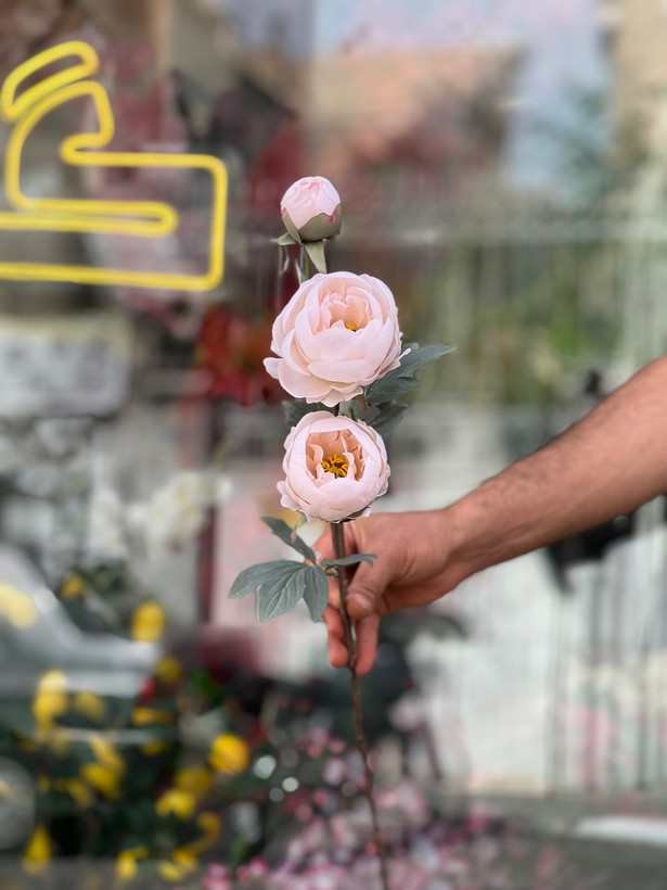 شاخه پیونی مصنوعی دو گل و یک غنچه وارداتی