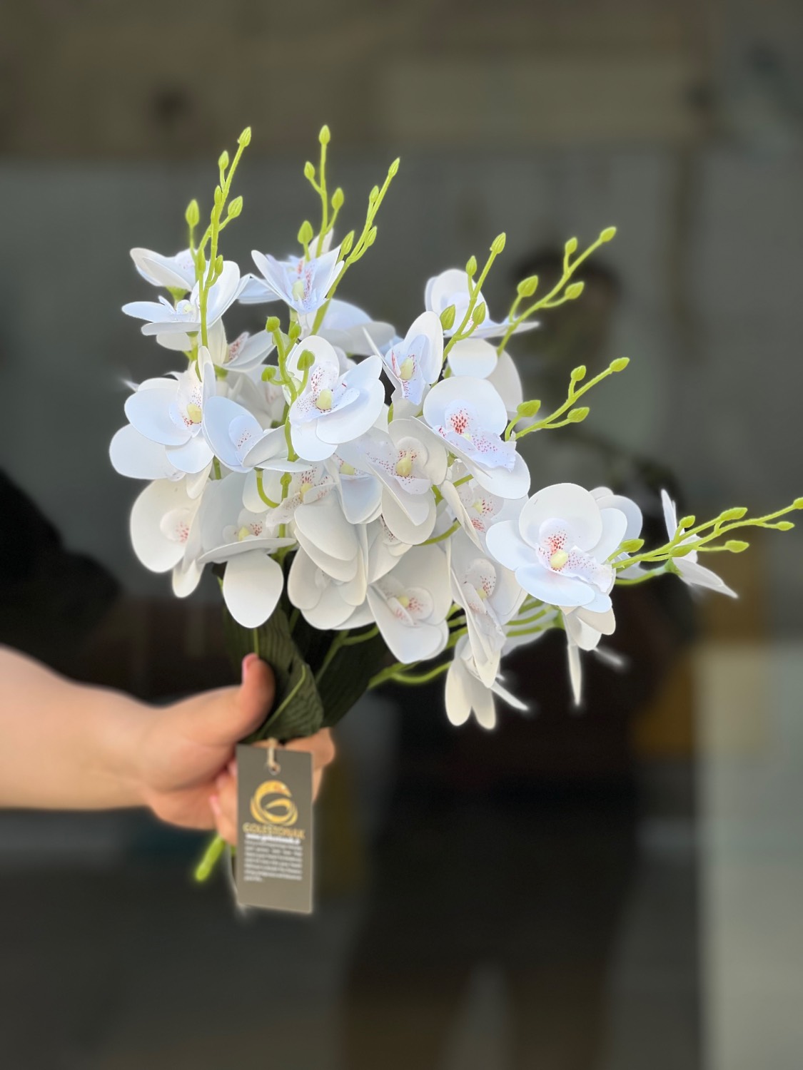 بوته ارکیده وارداتی۵بازو رنگ سفید لمسی