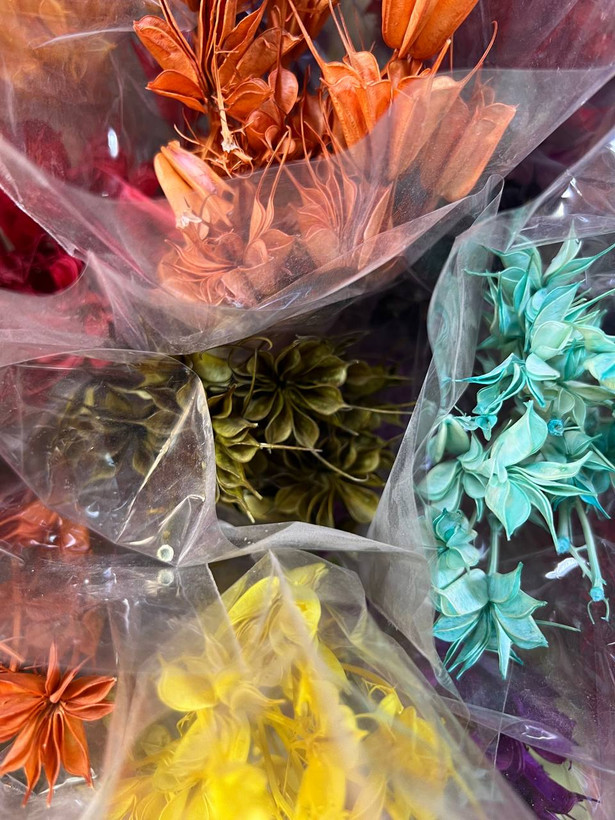 گل خشک لاله سوزنی رنگ کرمی (رنگ طبیعی)