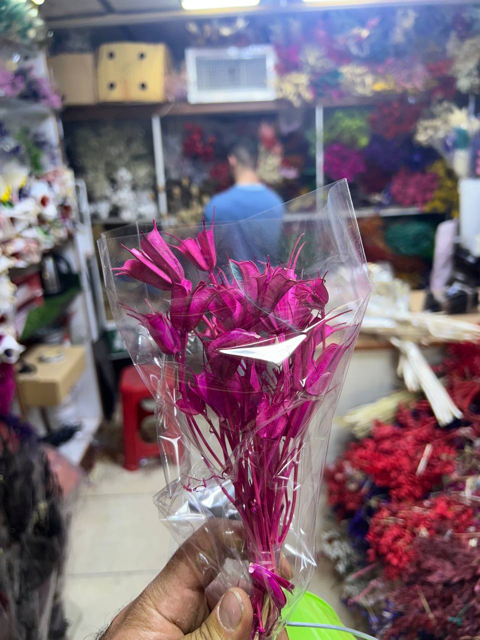 گل خشک لاله سوزنی رنگ کرمی (رنگ طبیعی)