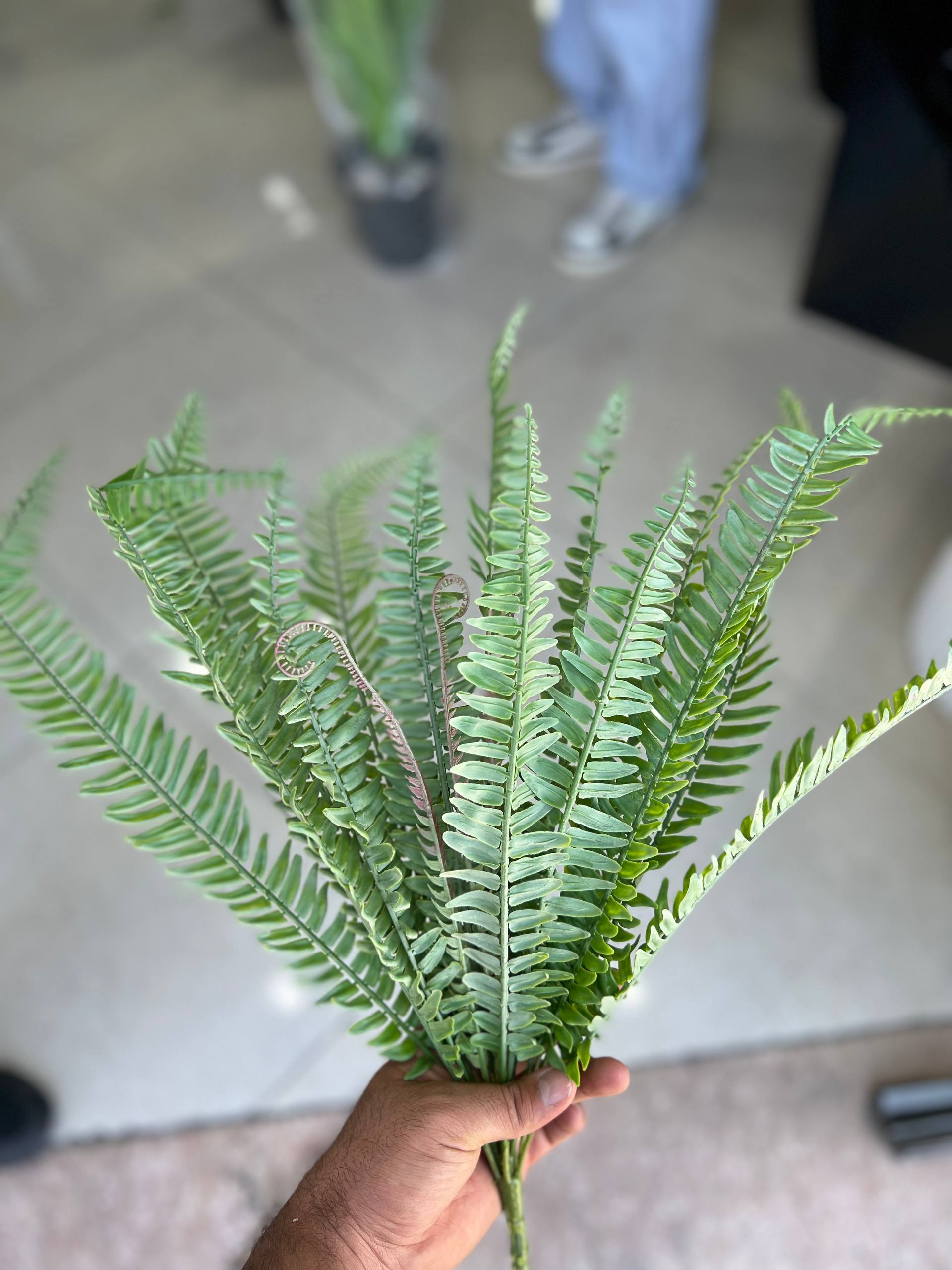 بوته سرخس لمسی وارداتی ۱۸بازو رنگ سبز کمرنگ